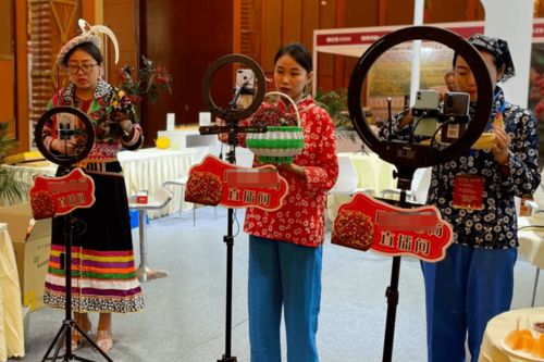 紅星觀察丨主播經紀首度納入行政監管，《網絡表演經紀機構管理辦法》征求意見稿解讀